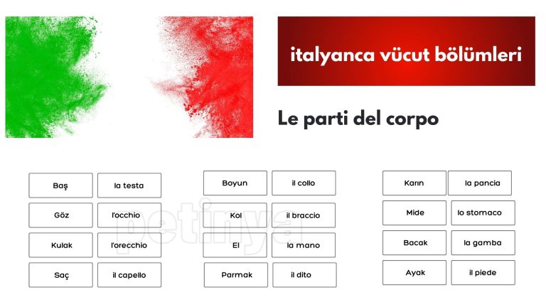 italyanca vucut bolumleri