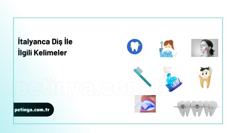 italyanca dis ile ilgili