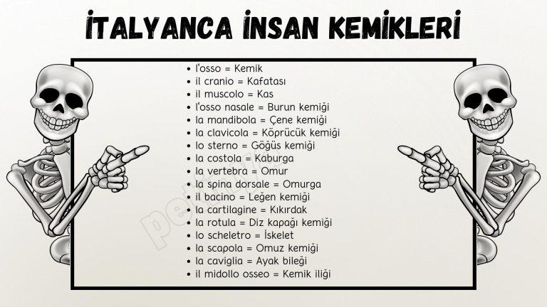 italyanca insan kemikleri