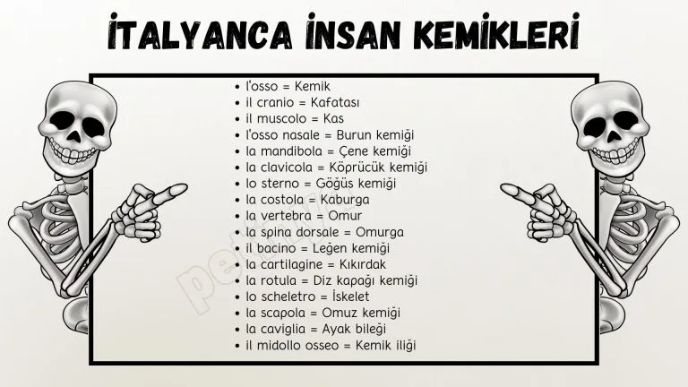 italyanca insan kemikleri