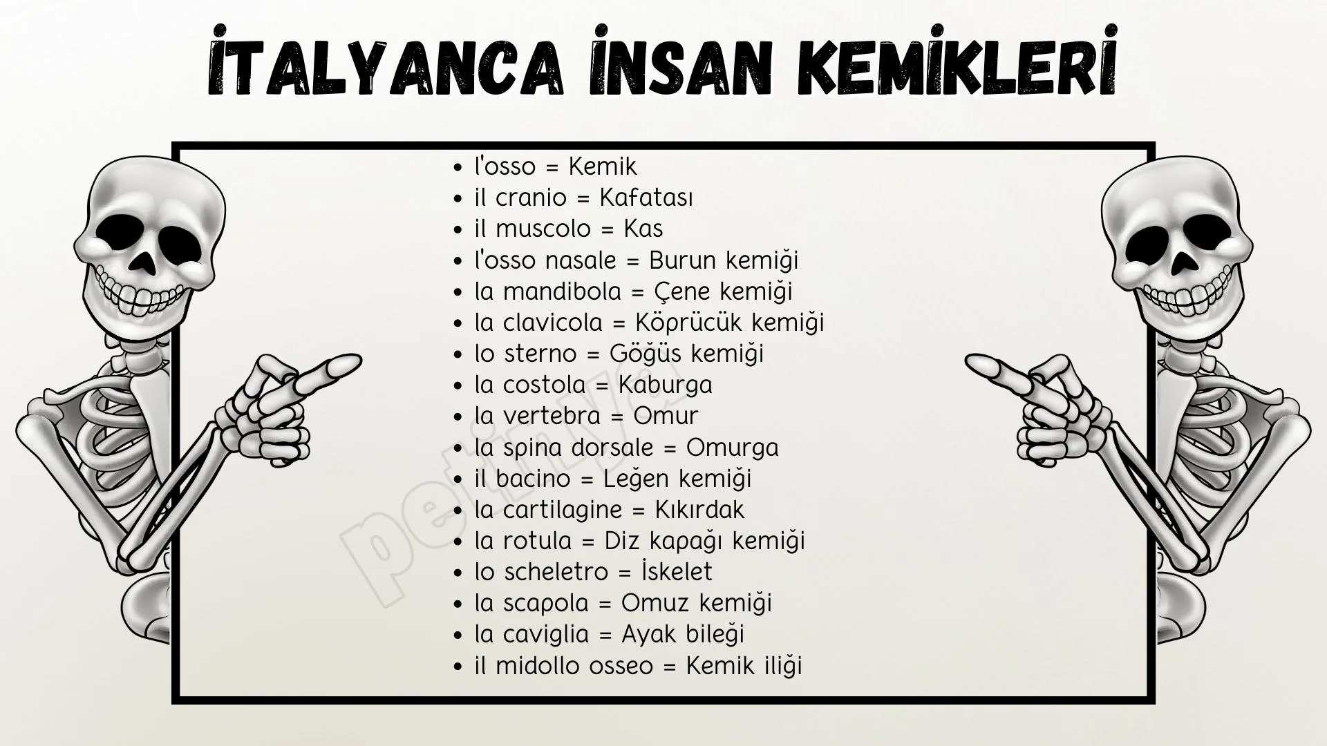 italyanca insan kemikleri