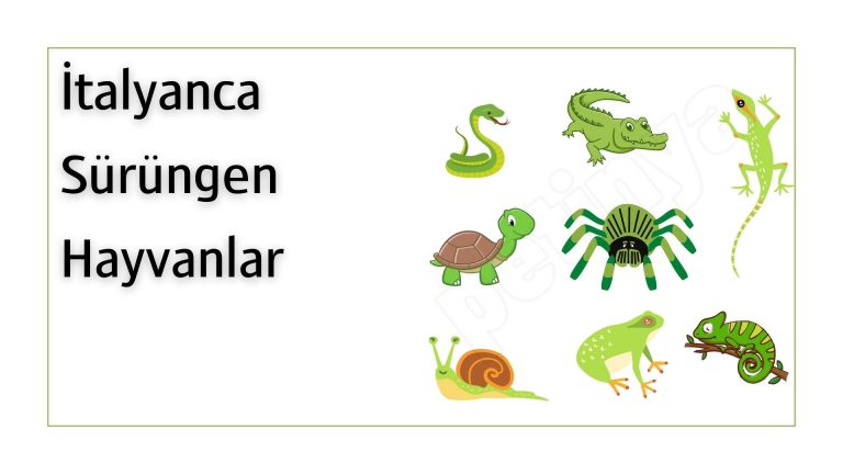 italyanca surungenler