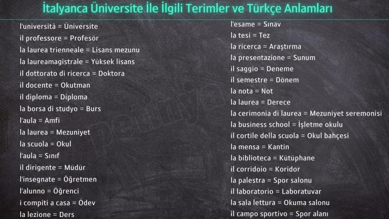 italyanca universite terimleri