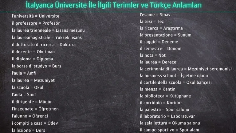 italyanca universite terimleri
