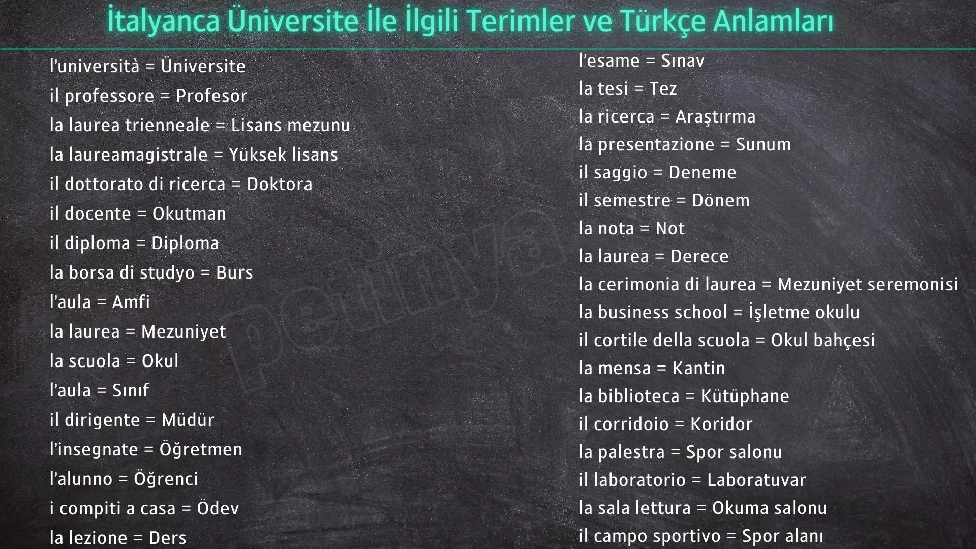 italyanca universite terimleri