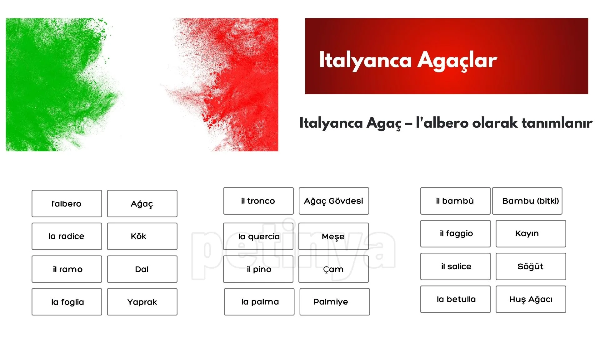 italyanca agaclar