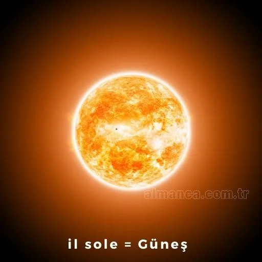 gunes