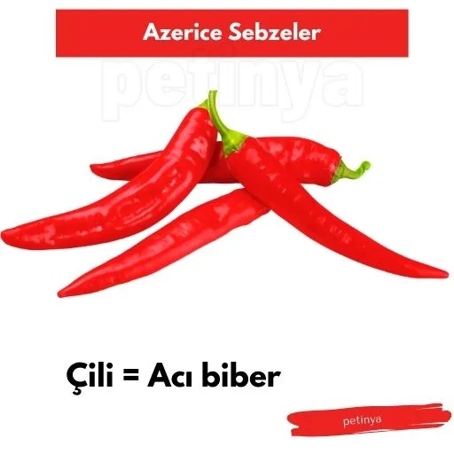 aci biber