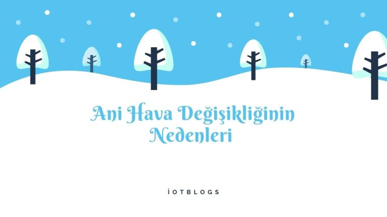 Ani Hava Değişikliğinin Nedenleri