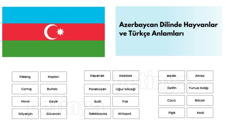 Azerice Hayvanlar ve Türkçe Anlamları