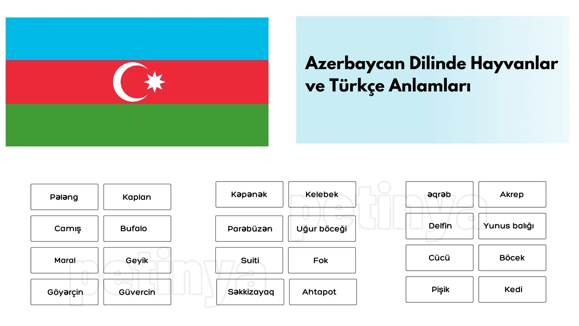 Azerice Hayvanlar ve Türkçe Anlamları