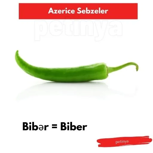 biber