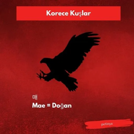 dogan