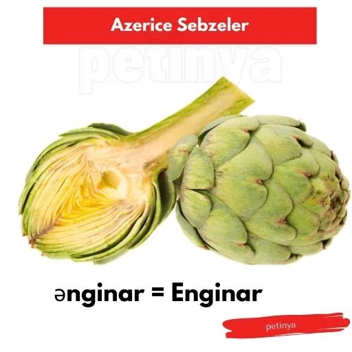 enginar