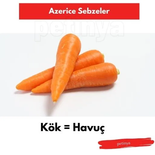 havuc