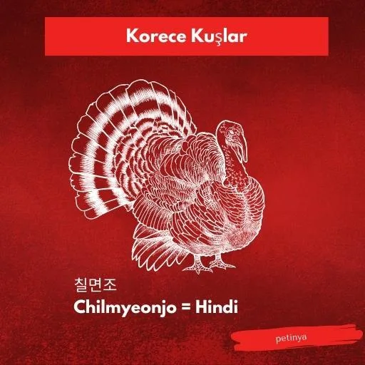 hindi