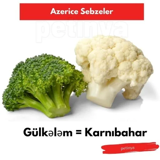 karnibahar