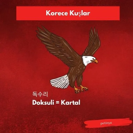 kartal