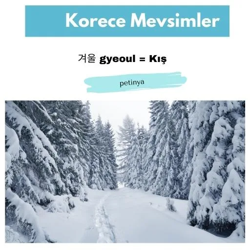 kis