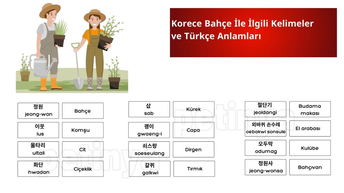 Korece Bahçe İle İlgili Kelimeler ve Türkçe Anlamları
