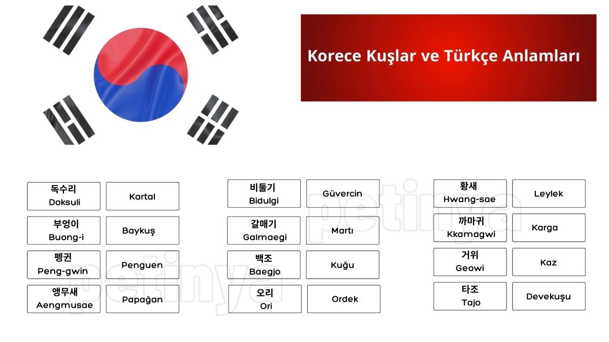 Korece Kuşlar ve Türkçe Anlamları