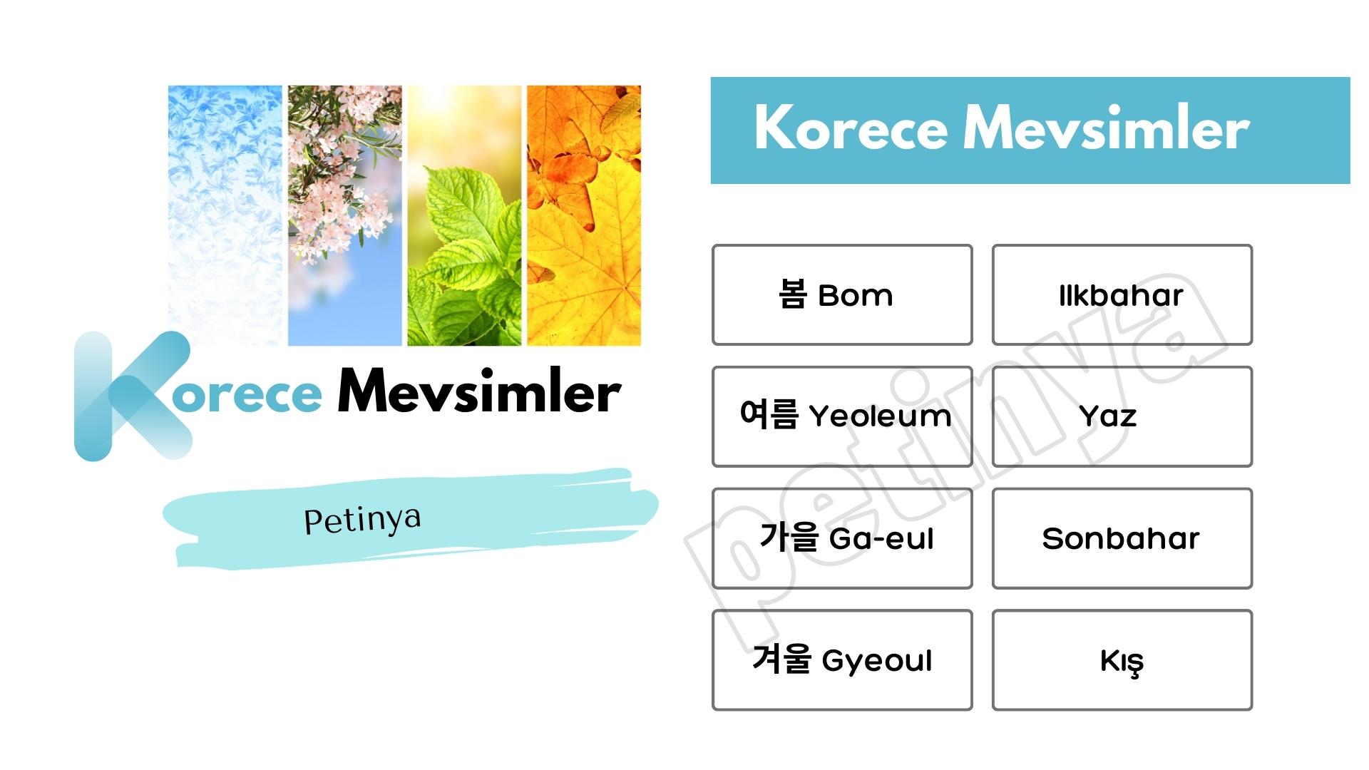 Korece Mevsimler ve Türkçe Anlamları