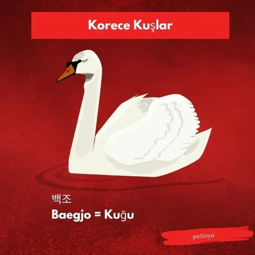 kugu