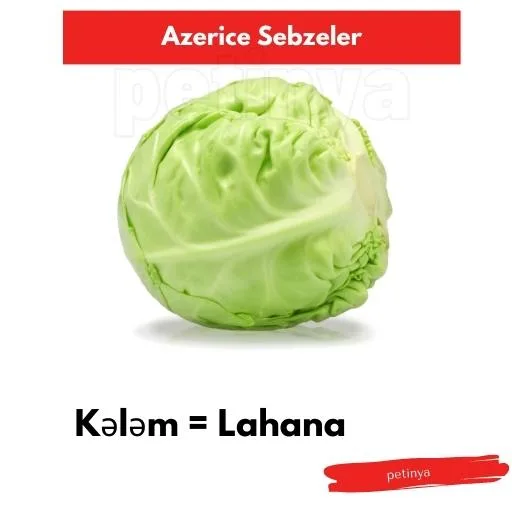 lahana