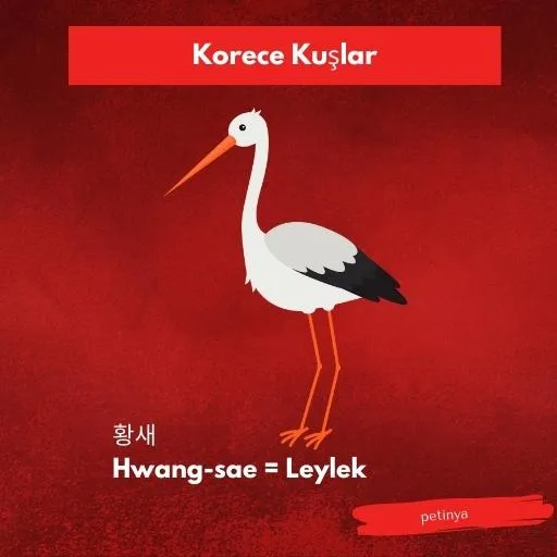 leylek