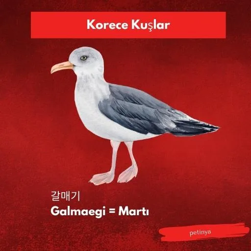 marti