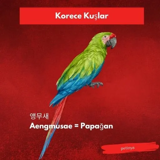 papagan