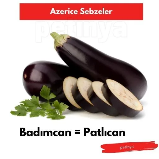 patlican