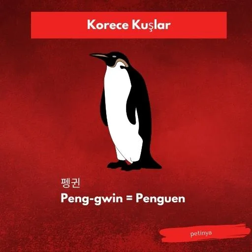 penguen