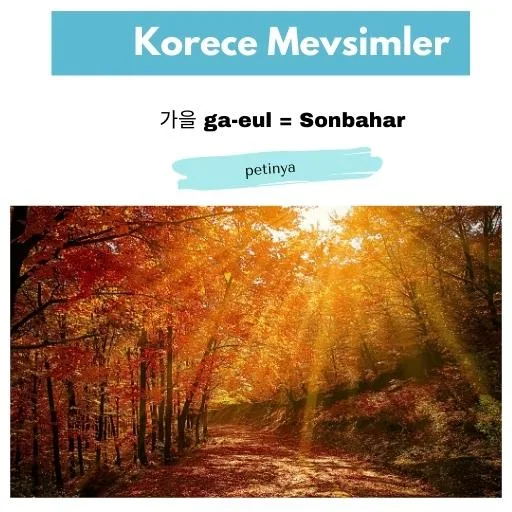 sonbahar