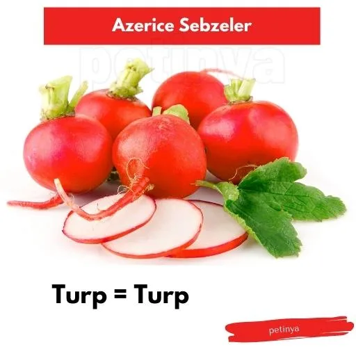 turp