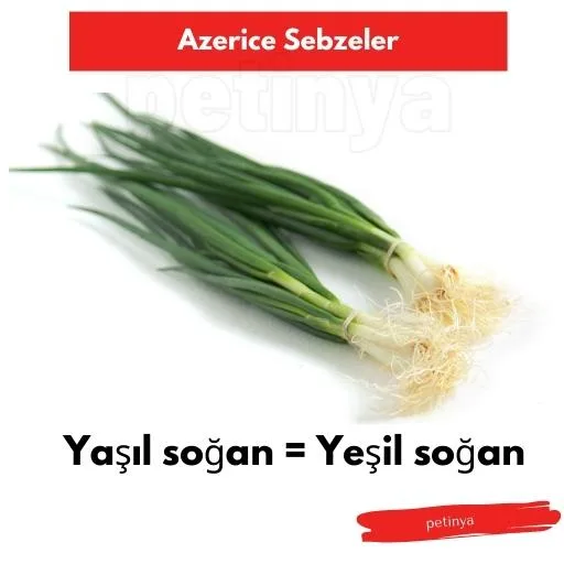 yesil sogan