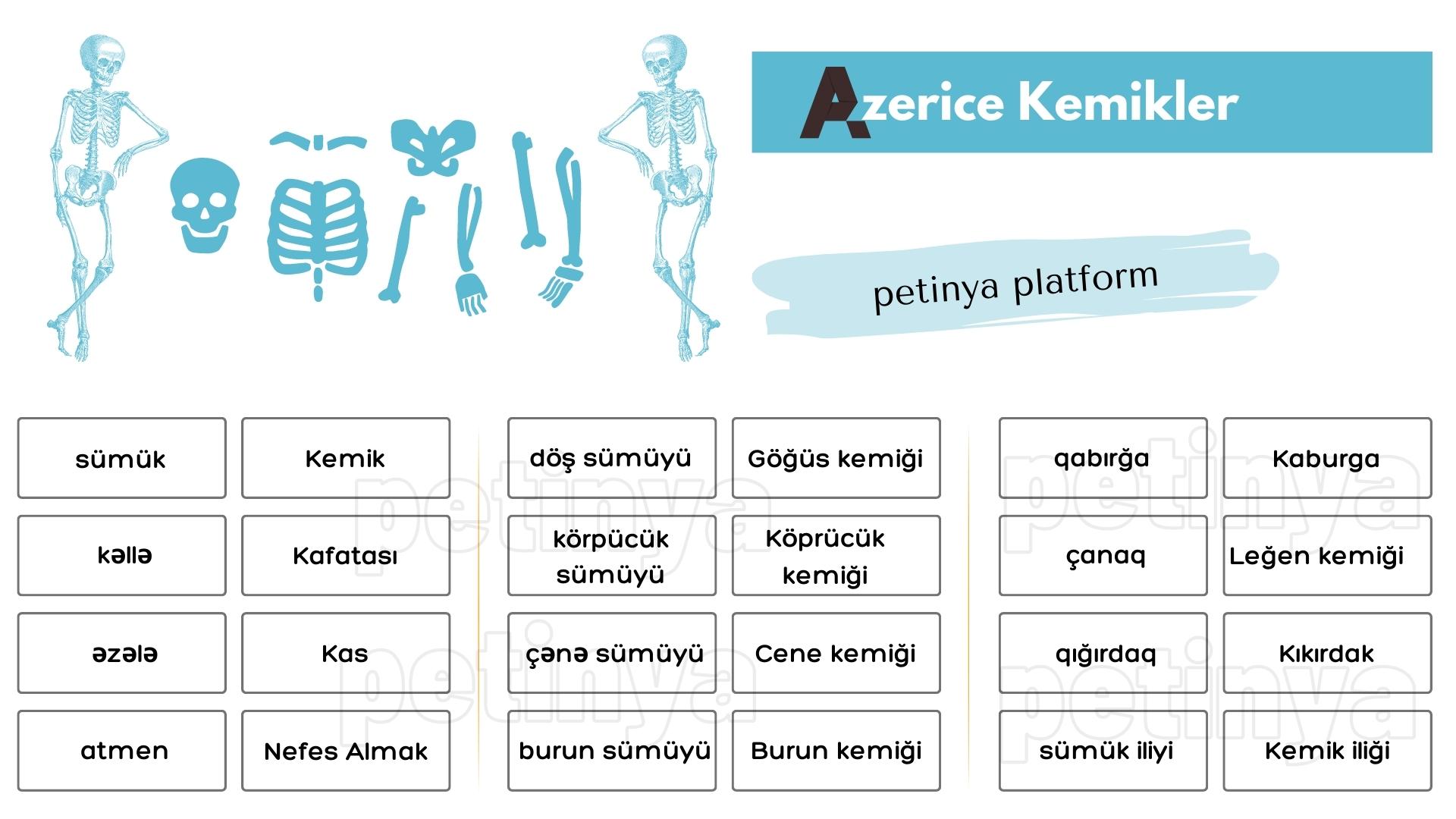 Azerice Kemikler ve Türkçe Anlamları