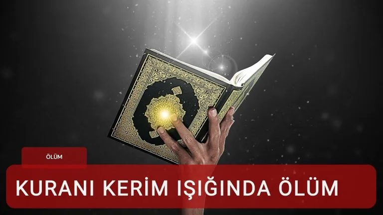 olum cover