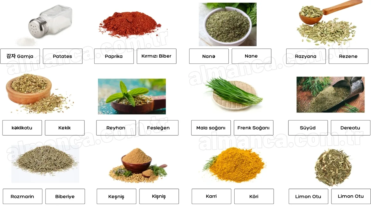 Azerice Baharat İsimleri ve Türkçe Anlamları