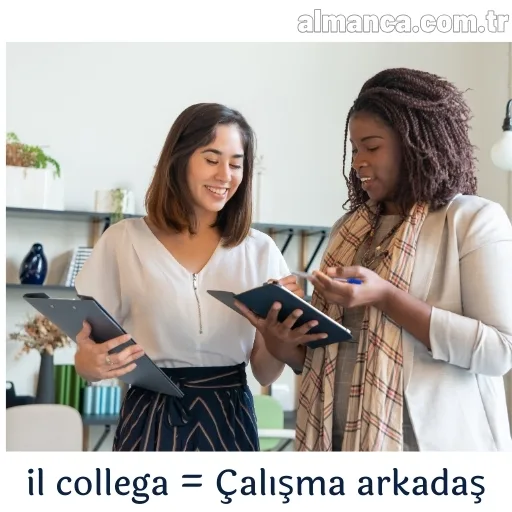 calisma arkadasi