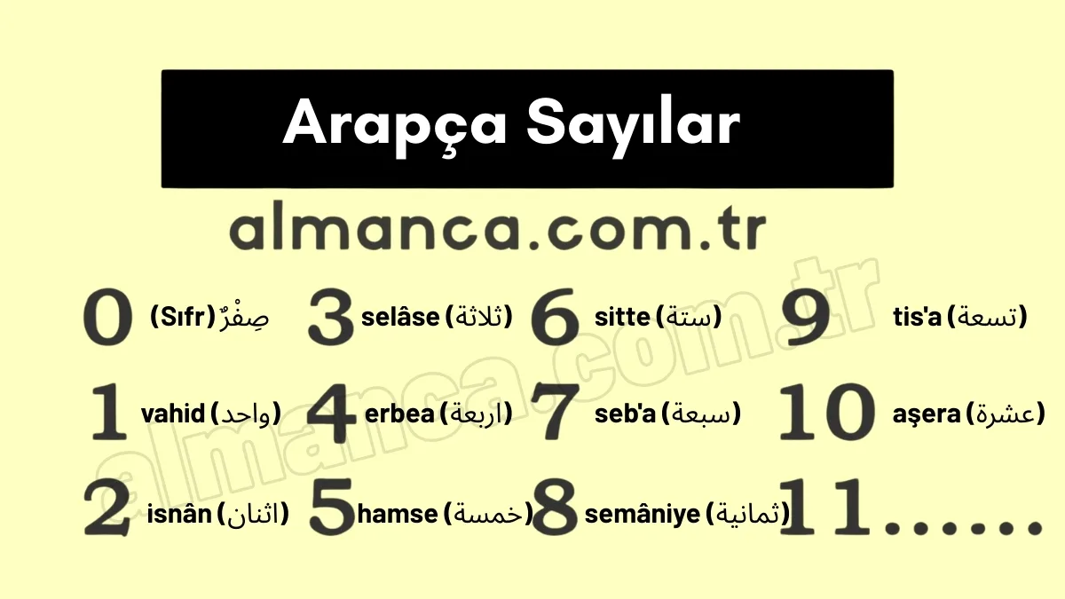 Arapça Sayılar - Nasıl Yazılır - Nasıl Okunur