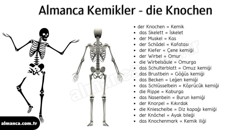 Almanca Kemikler