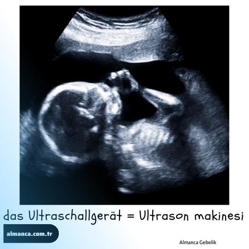 das Ultraschallgerät = Ultrason makinesi