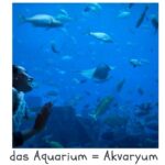 das Aquarium = Akvaryum